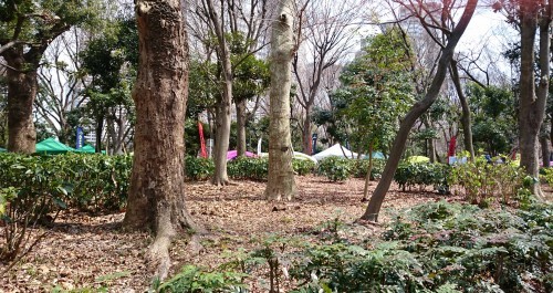 b0339522_18220562.jpg