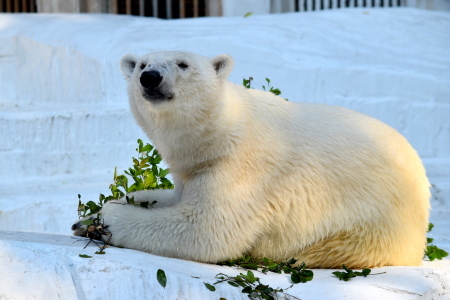 f0344626_00001184.jpg