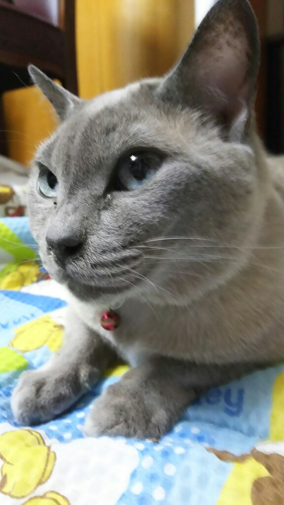 a0090729_12324020.jpg