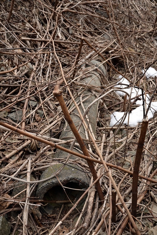 c0286530_21434366.jpg