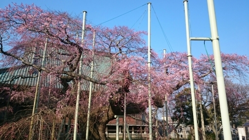 c0095835_07452442.jpg