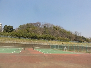 c0147935_20532722.jpg