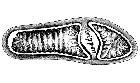 c0102137_19545553.jpg