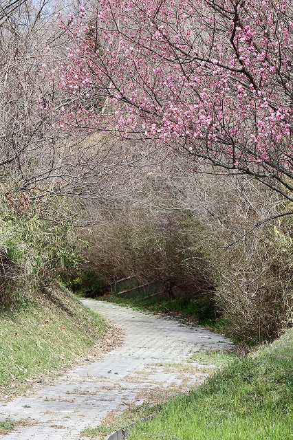 a0242438_19585752.jpg