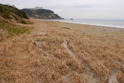 c0019338_09595362.jpg