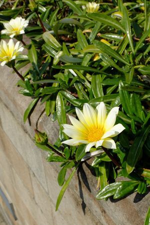 c0148238_12404160.jpg