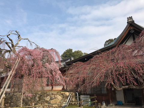 a0100742_11141277.jpg