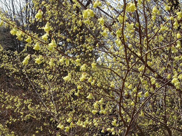 b0299042_17144658.jpg