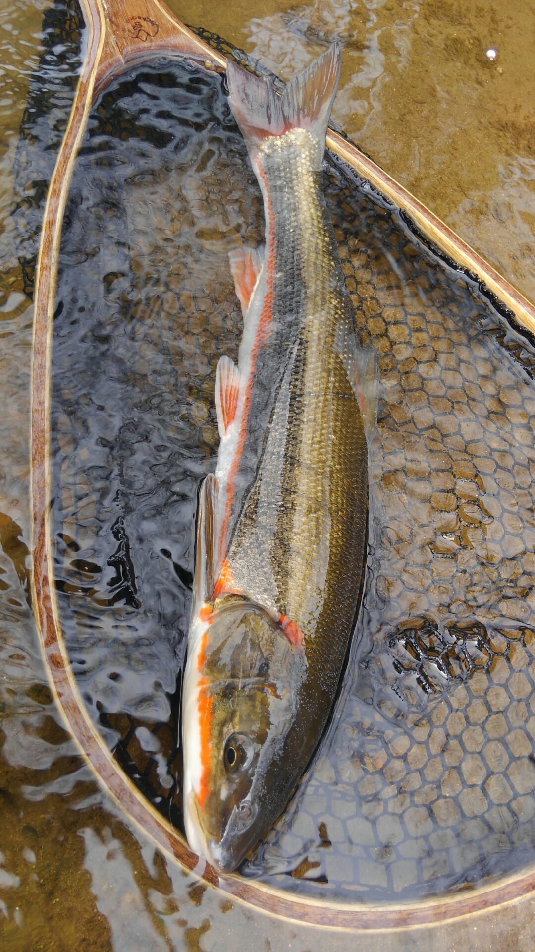 e0202845_23504803.jpg