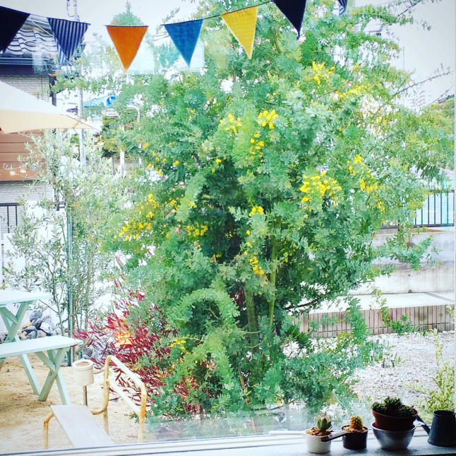 e0274445_08101066.jpg