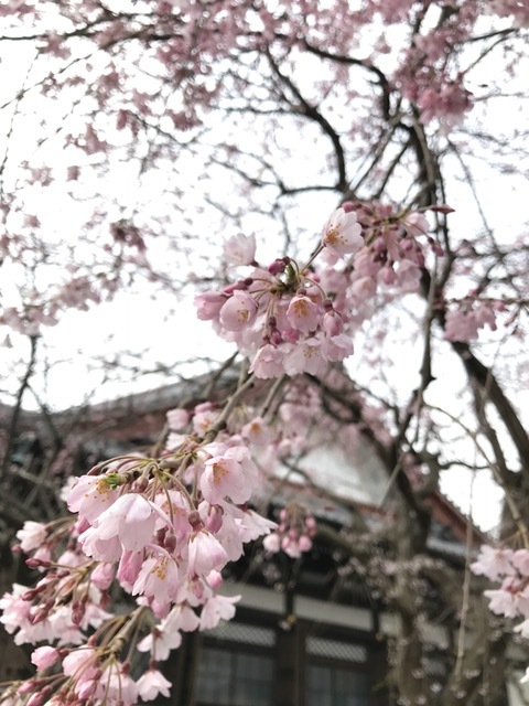 c0343447_08230256.jpg