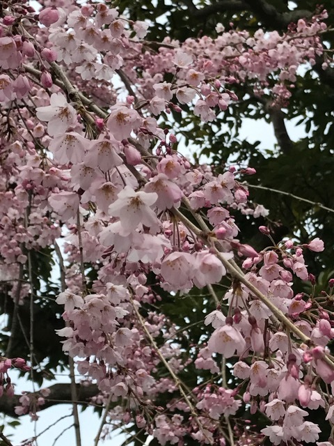 c0343447_08232213.jpg