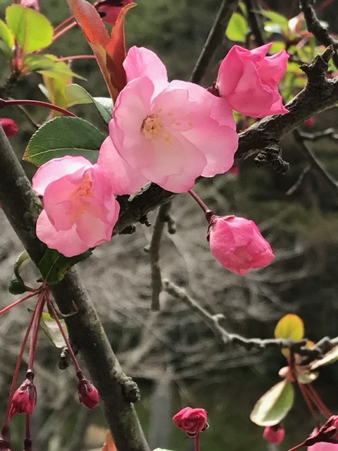 c0343447_08373369.jpg