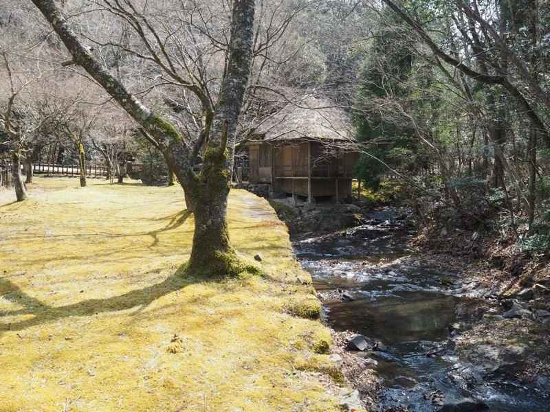 f0169147_20570865.jpg