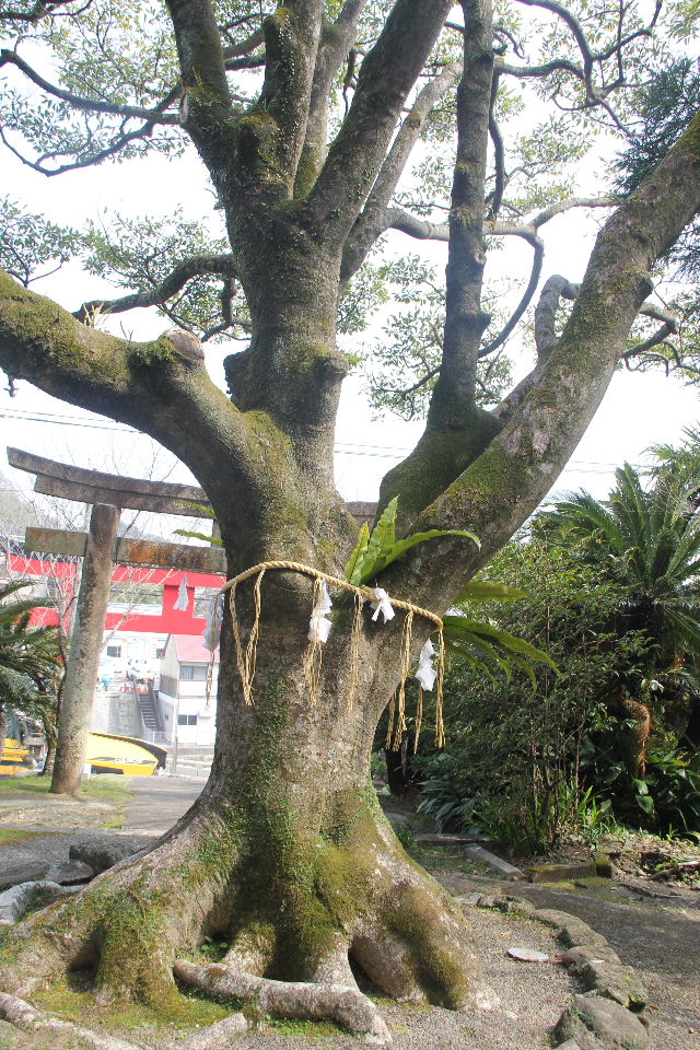c0011649_1320269.jpg