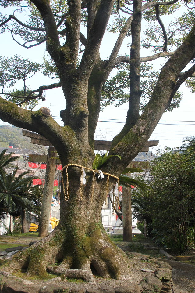 c0011649_13241670.jpg