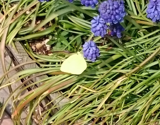 c0328559_16270322.jpg