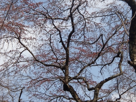 b0044663_00013211.jpg