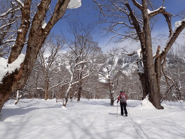 c0123363_11312091.jpg