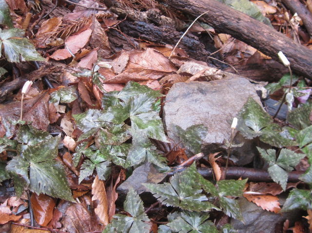 c0219866_09103352.jpg
