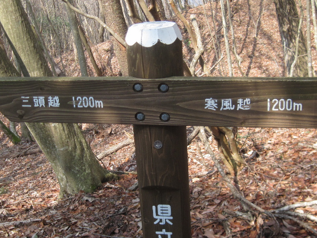 c0219866_09253294.jpg