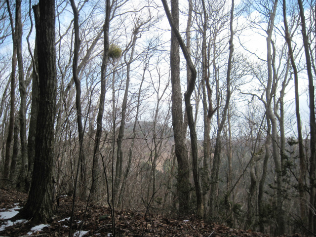 c0219866_09290507.jpg