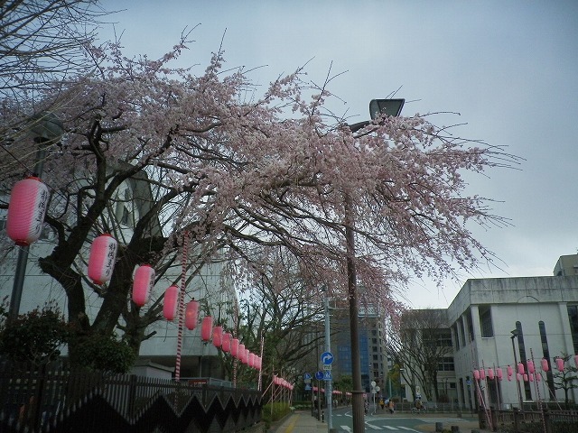 e0078069_09014618.jpg