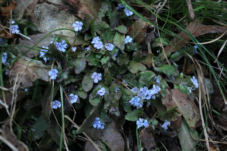 e0304170_18440476.jpg