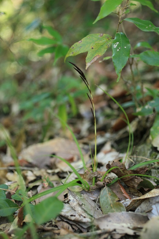 e0304170_18442364.jpg