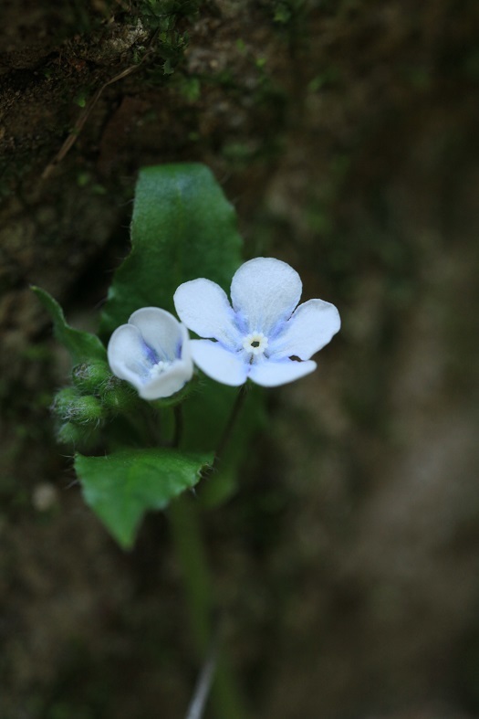 e0304170_18444976.jpg