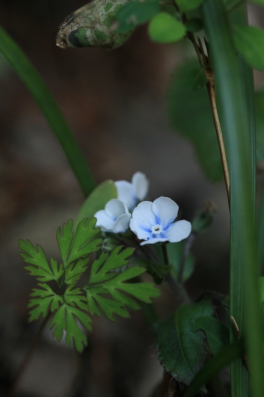 e0304170_18450916.jpg