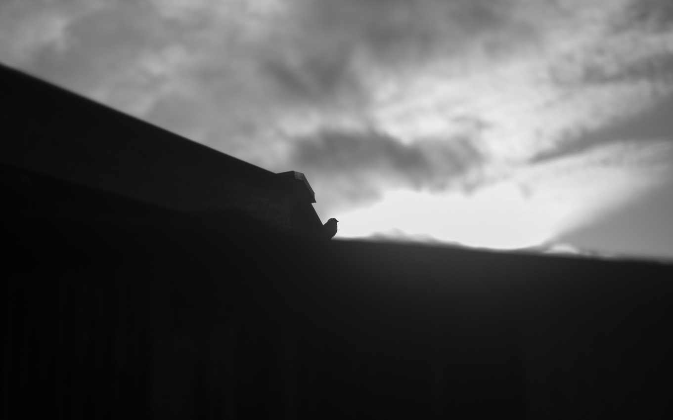 d0172174_00003629.jpg
