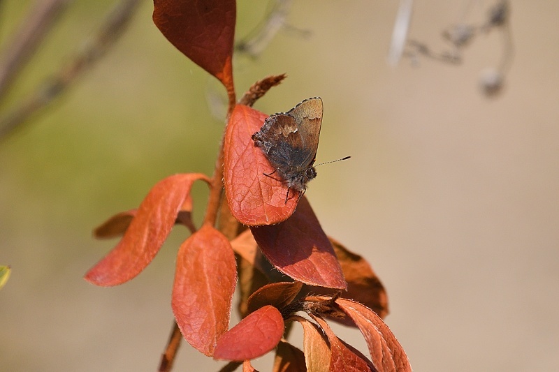 f0031682_15262160.jpg