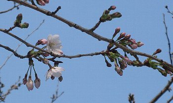 f0003283_11544256.jpg