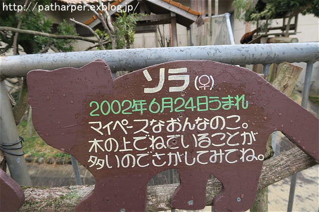 a0052986_72375.jpg