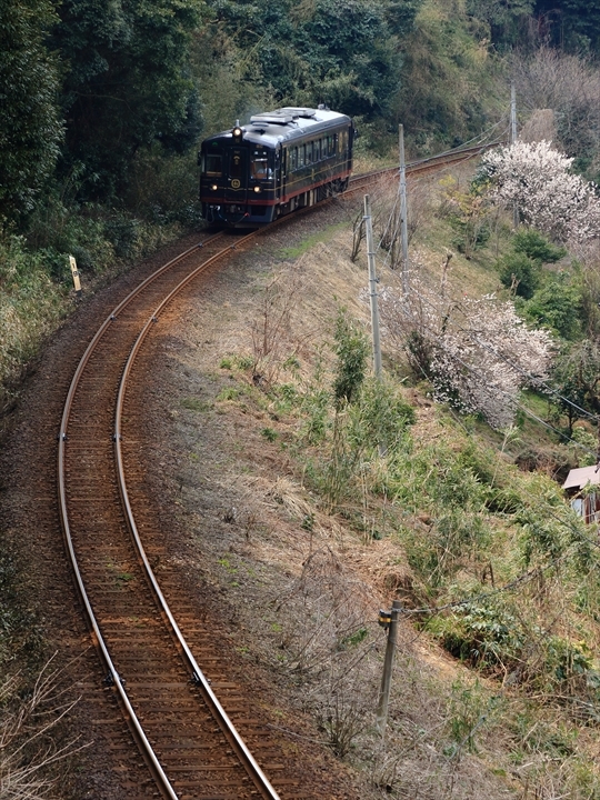 a0335890_20474765.jpg
