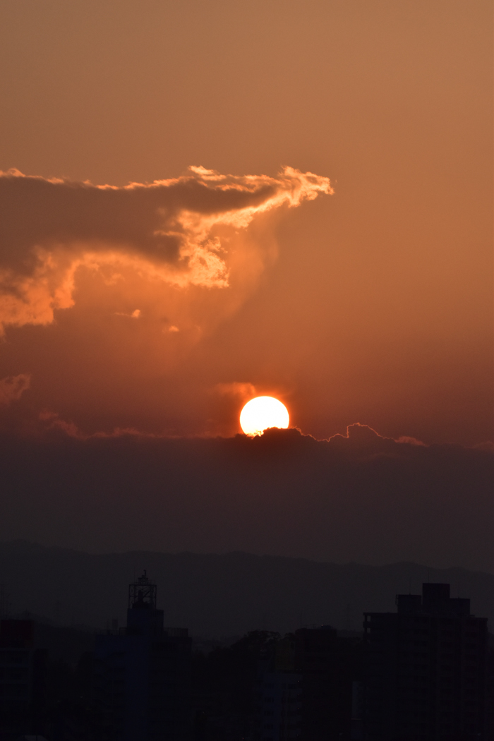 c0049299_22420509.jpg