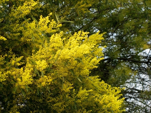 c0345705_11383857.jpg