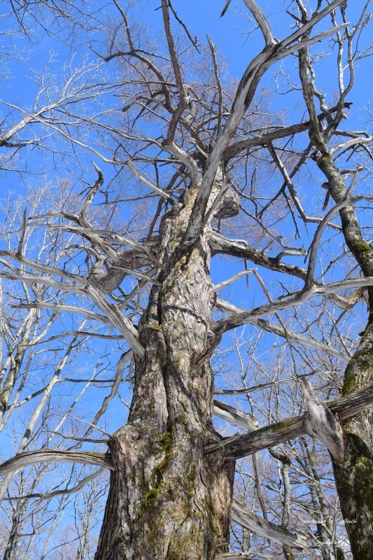 b0223512_21430755.jpg