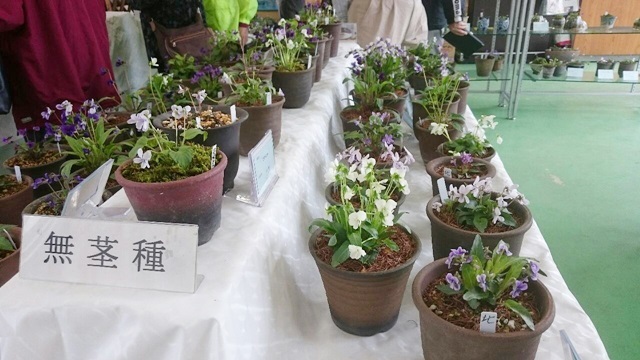 e0350415_07555380.jpg