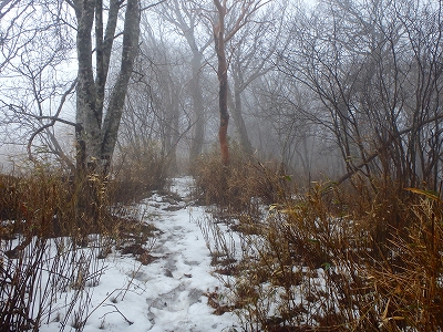 f0193521_1257032.jpg
