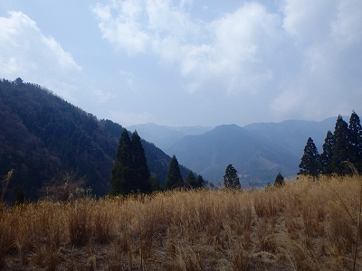 f0193521_1331233.jpg