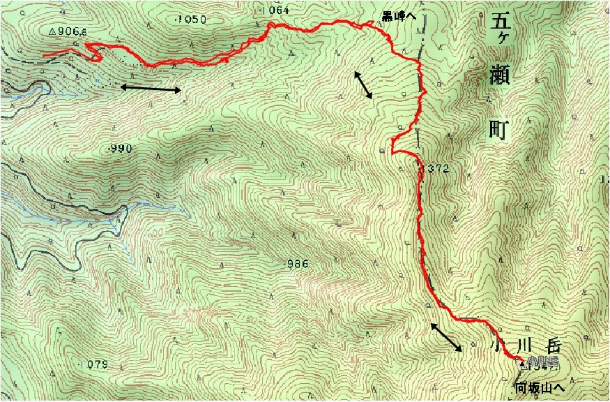 f0193521_343269.jpg