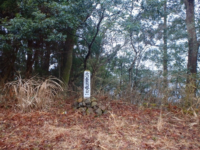 f0193521_723594.jpg