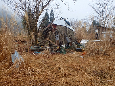 f0193521_7321860.jpg