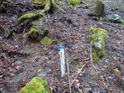 f0193521_8114744.jpg