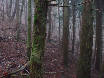 f0193521_8134310.jpg