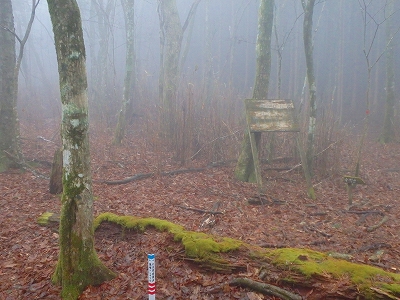 f0193521_8154969.jpg