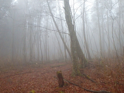 f0193521_8181035.jpg