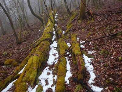 f0193521_8293374.jpg